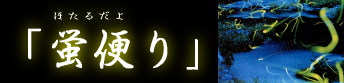 �u�u�ւ�v�z�^���̒ʐM�̔�